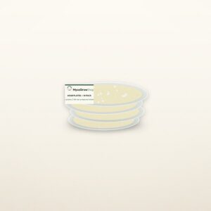 Agar Plates — 10 Pack — MycoGrowShop