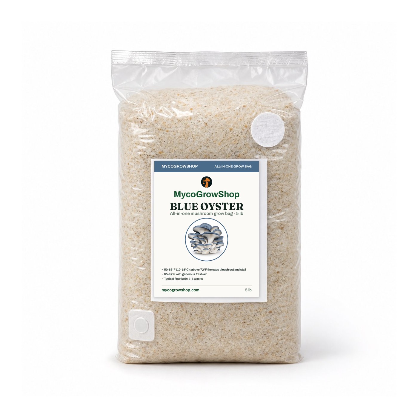 beginner mushroom grow kits - blue oyster all-in-one mushroom grow bag photograph