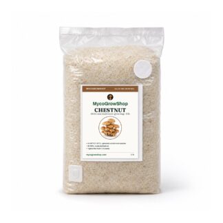 Chestnut All-In-One Mushroom Grow Bag, all in one mushroom grow bag with grain spawn sealed inside