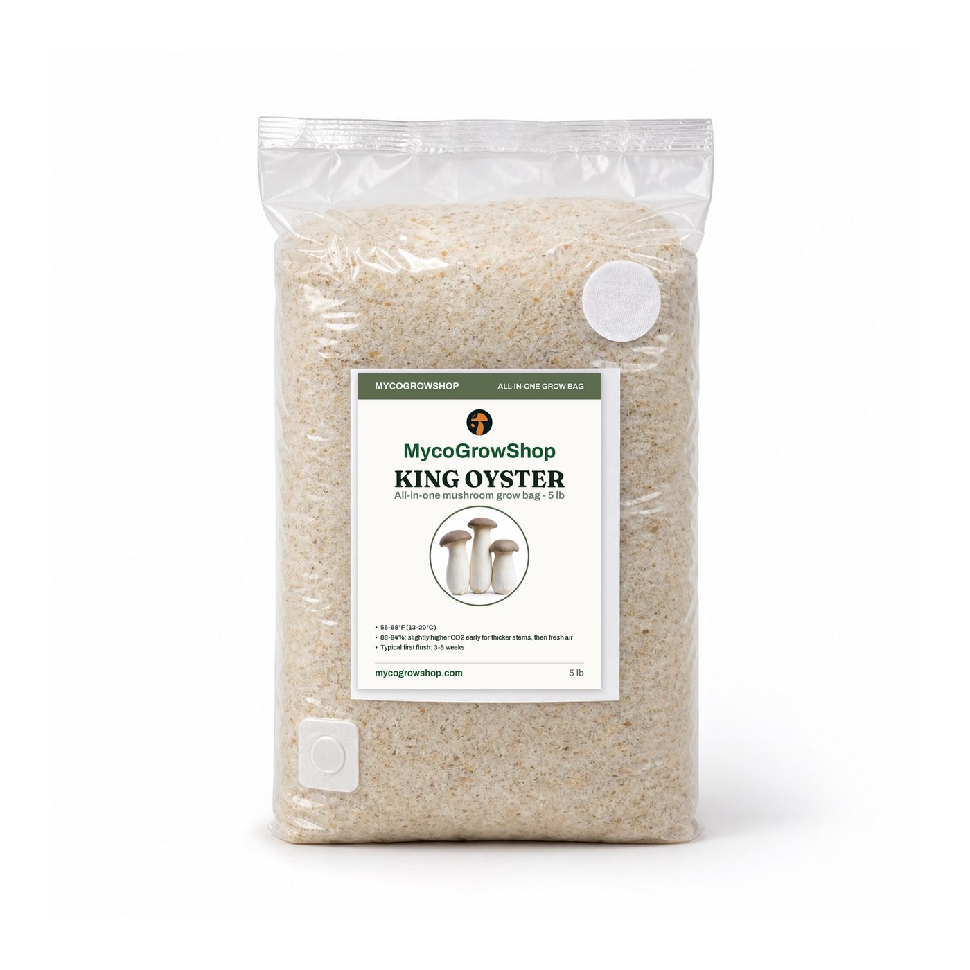 oyster mushroom grow kits - king oyster all-in-one mushroom grow bag photograph