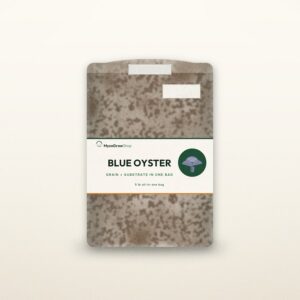 Blue Oyster All-In-One Mushroom Grow Bag — MycoGrowShop