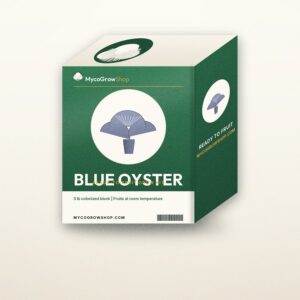 Blue Oyster Mushroom Grow Kit — MycoGrowShop