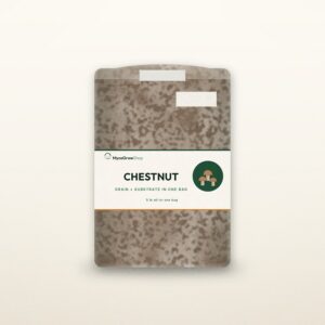 Chestnut All-In-One Mushroom Grow Bag — MycoGrowShop