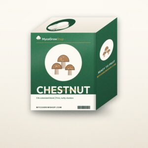 Chestnut Mushroom Grow Kit — MycoGrowShop