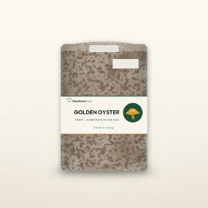 Golden Oyster All-In-One Mushroom Grow Bag — MycoGrowShop