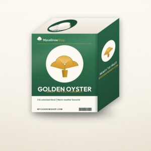 Golden Oyster Mushroom Grow Kit — MycoGrowShop