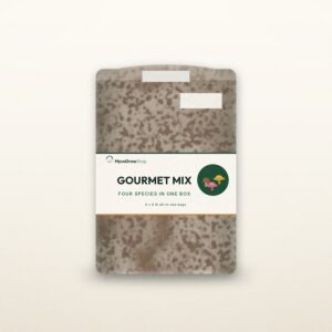 Gourmet Oyster All-In-One 4-Pack — MycoGrowShop