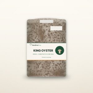 King Oyster All-In-One Mushroom Grow Bag — MycoGrowShop
