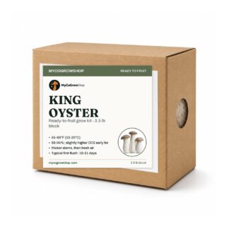 King Oyster Mushroom Grow Kit, oyster mushroom growing kit, colonised block in a vented box
