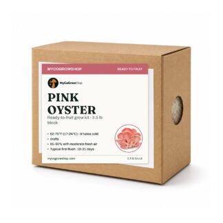 Pink Oyster Mushroom Grow Kit, beginner mushroom growing kit, no pressure cooker needed