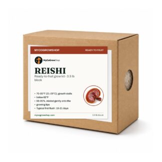 Reishi Mushroom Grow Kit, mushroom growing kit, ready to fruit 3.5 lb colonised block