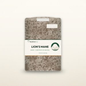 Lion's Mane All-In-One Mushroom Grow Bag — MycoGrowShop