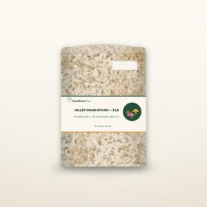 Millet Grain Spawn — 3 lb — MycoGrowShop