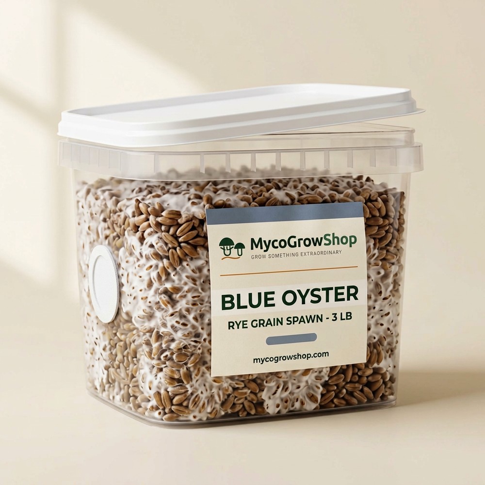 Blue Oyster Rye Grain Spawn - product photo, MycoGrow Shop