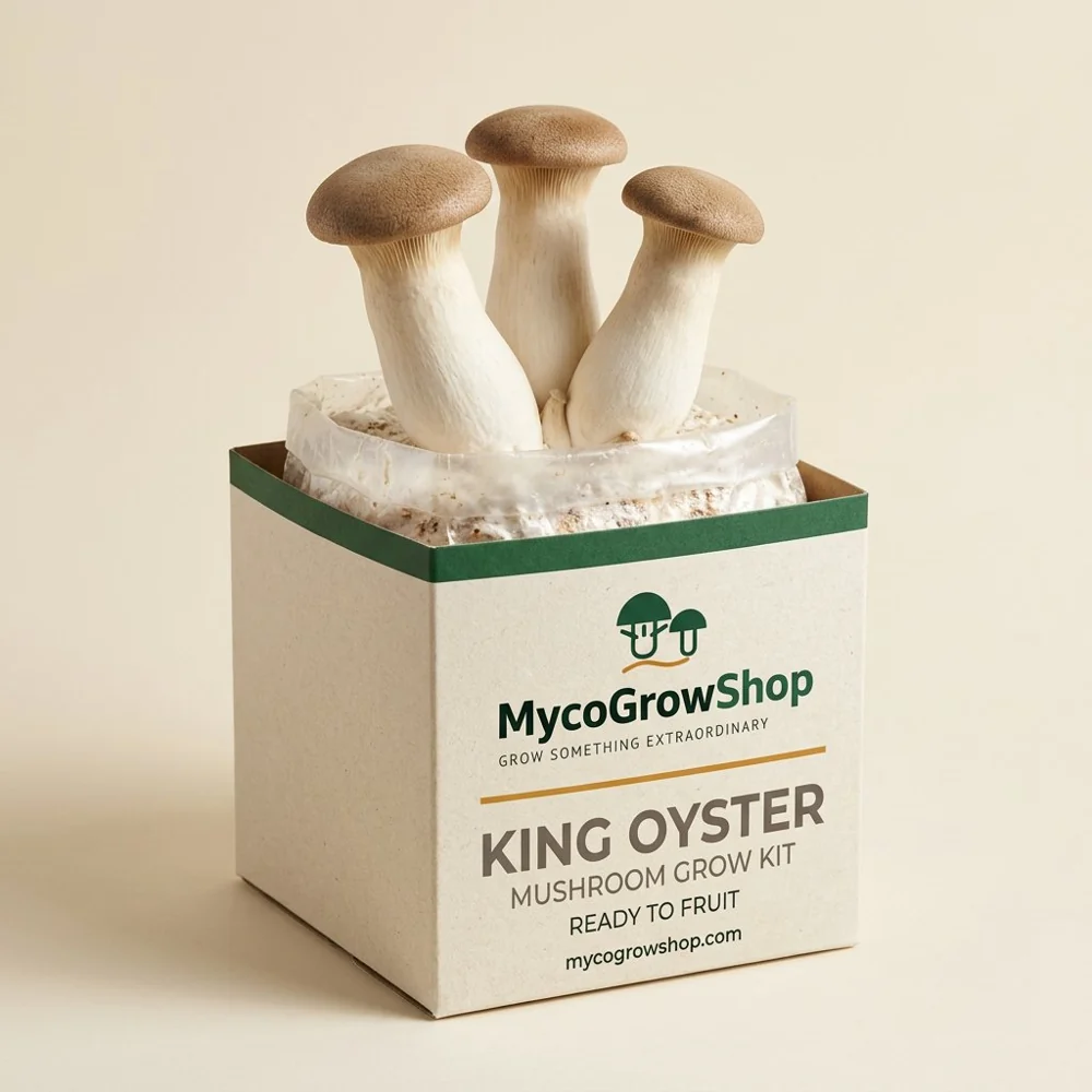 Original product visualization of King Oyster Mushroom Grow Kit with the MycoGrowShop logo printed on its packaging