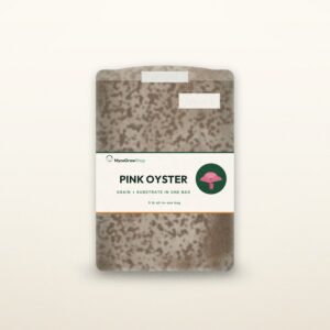Pink Oyster All-In-One Mushroom Grow Bag — MycoGrowShop