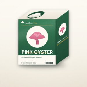 Pink Oyster Mushroom Grow Kit — MycoGrowShop