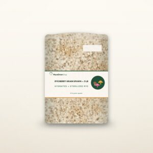Rye Berry Grain Spawn — 3 lb — MycoGrowShop