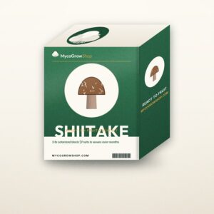 Shiitake Mushroom Grow Kit — MycoGrowShop