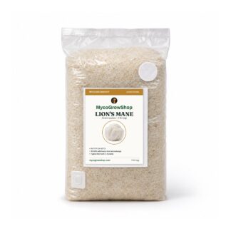 Lion's Mane Millet Grain Spawn - 3 lb, lion's mane mushroom grow kit, supplemented sawdust