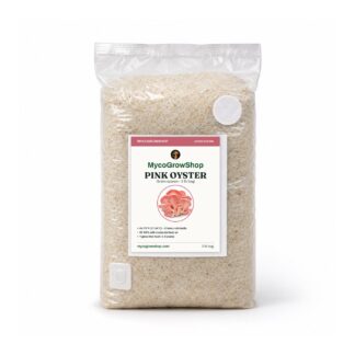 Pink Oyster Rye Grain Spawn - 3 lb, mushroom grain spawn, colonised and ready to pitch