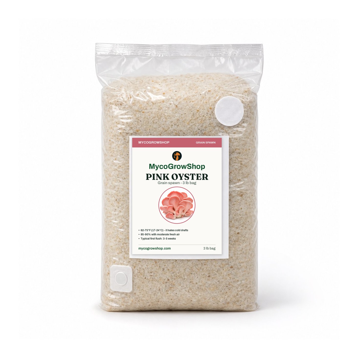 Pink Oyster Rye Grain Spawn 3 lb - mushroom spawn